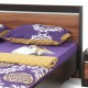 Кровать полутораспальная Столлайн Ксено (Корсика) СТЛ.078.17 слива валлис/дуб феррара